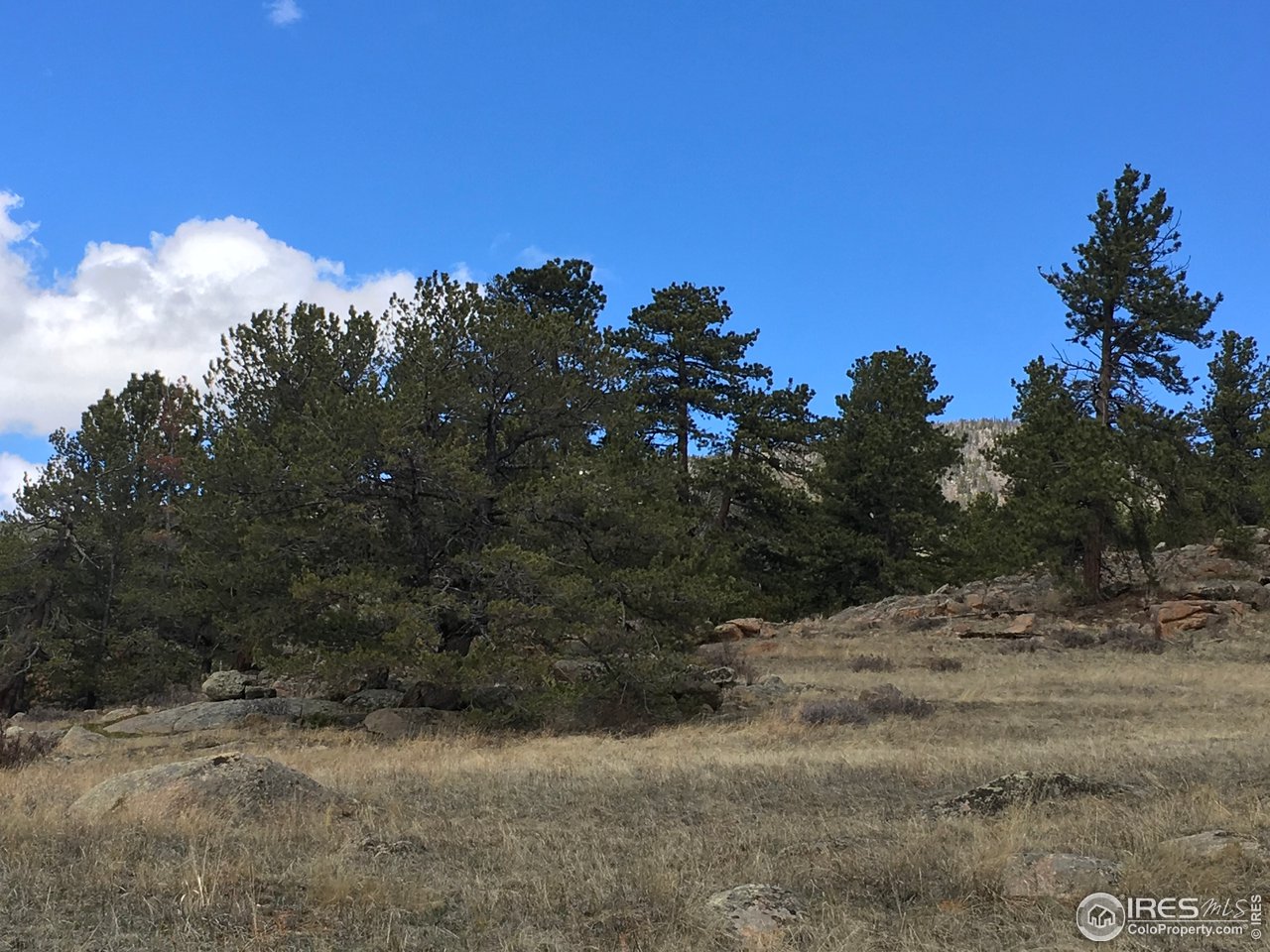 3 Cimarron Road Red Feather Lakes, CO 80545 - Photo 5 of 17 Gallery Image 5