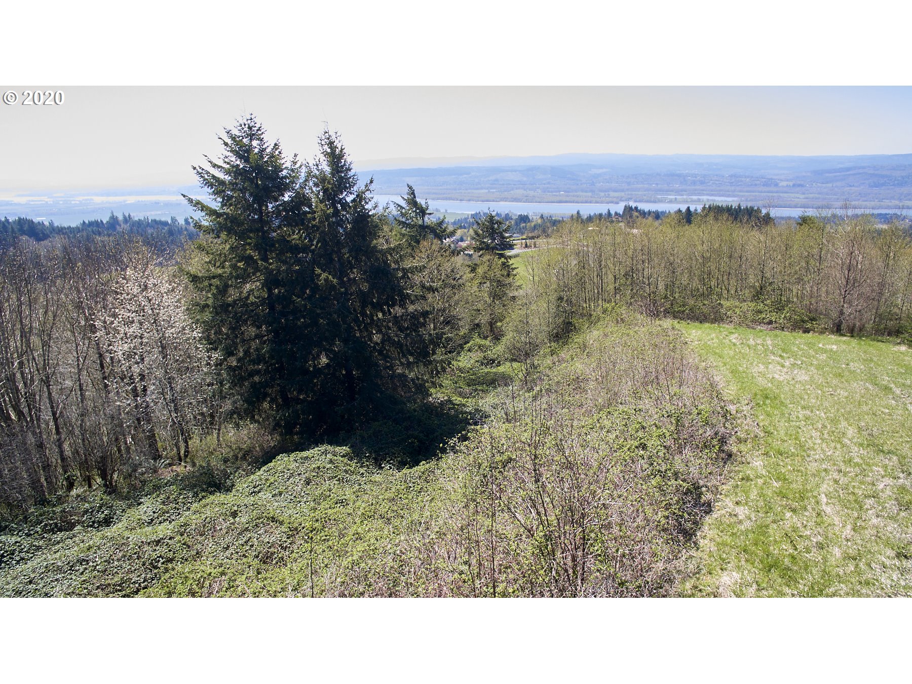 598 Varsity Road Kalama, WA 98625 - Photo 6 of 8 Gallery Image 6