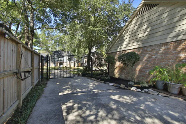 a view of a backyard with large trees and plants