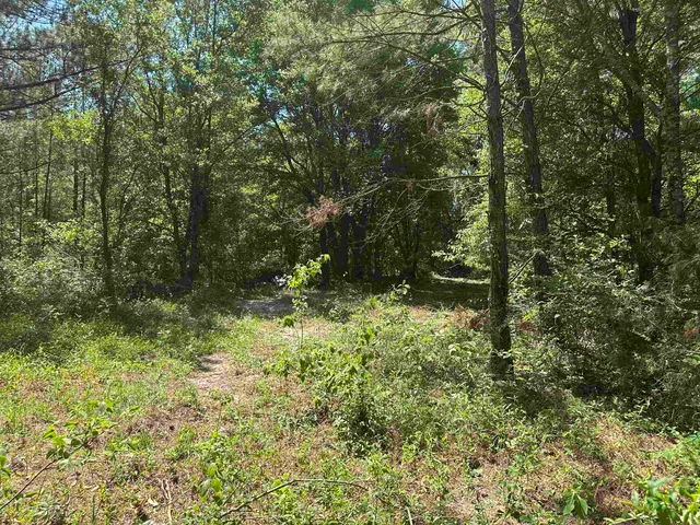 $60,350 | 10 Acres Lane, Quincy, FL 32351