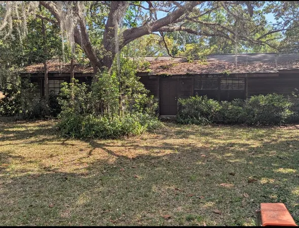 a view of backyard with plants and trees