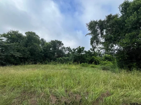 a view of a green yard