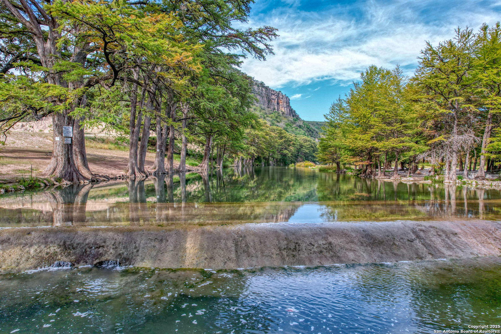 a view of a park with large trees