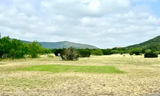 a view of an ocean from a yard