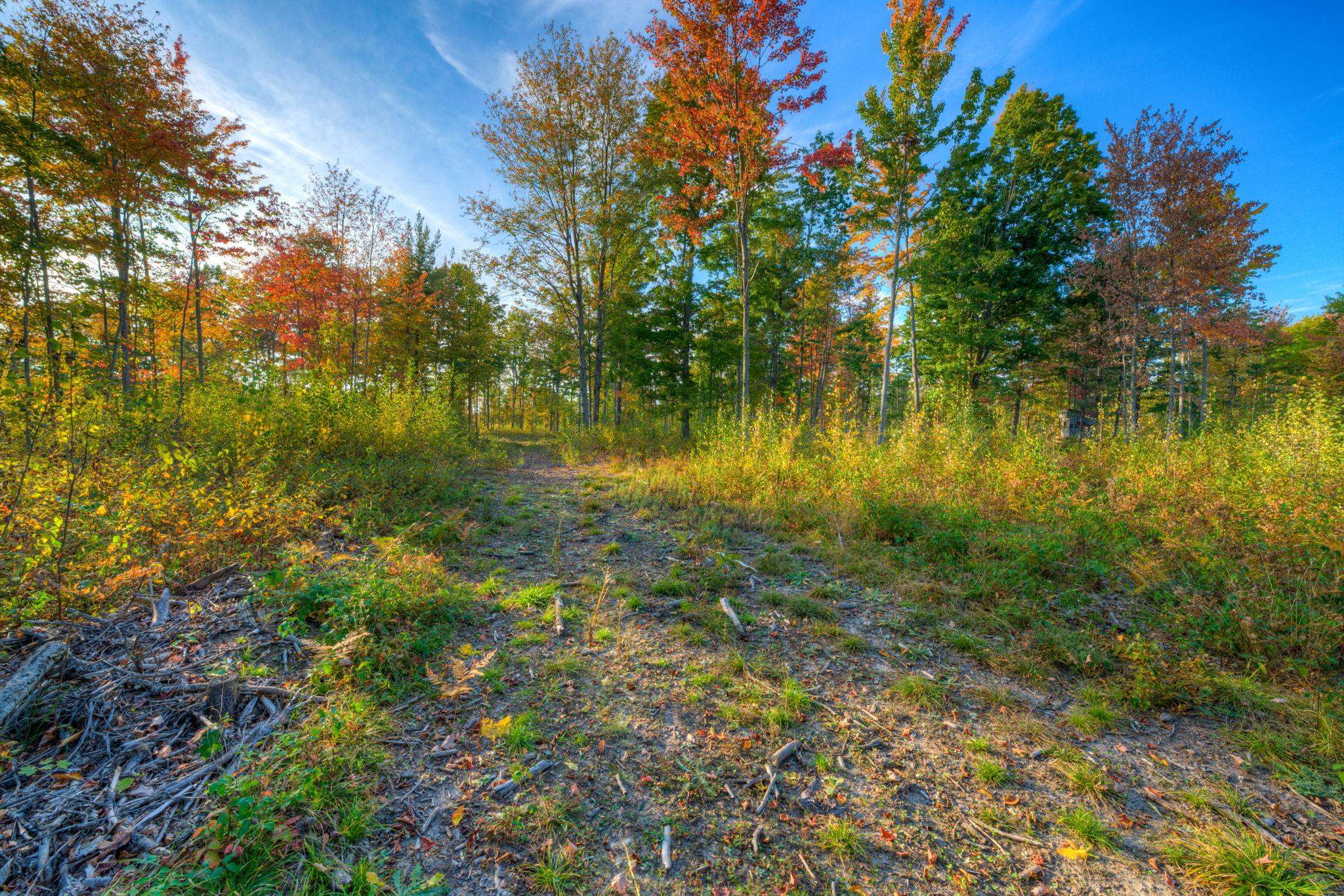755 North Carmean Road Interlochen, MI 49643 - Photo 22 of 65