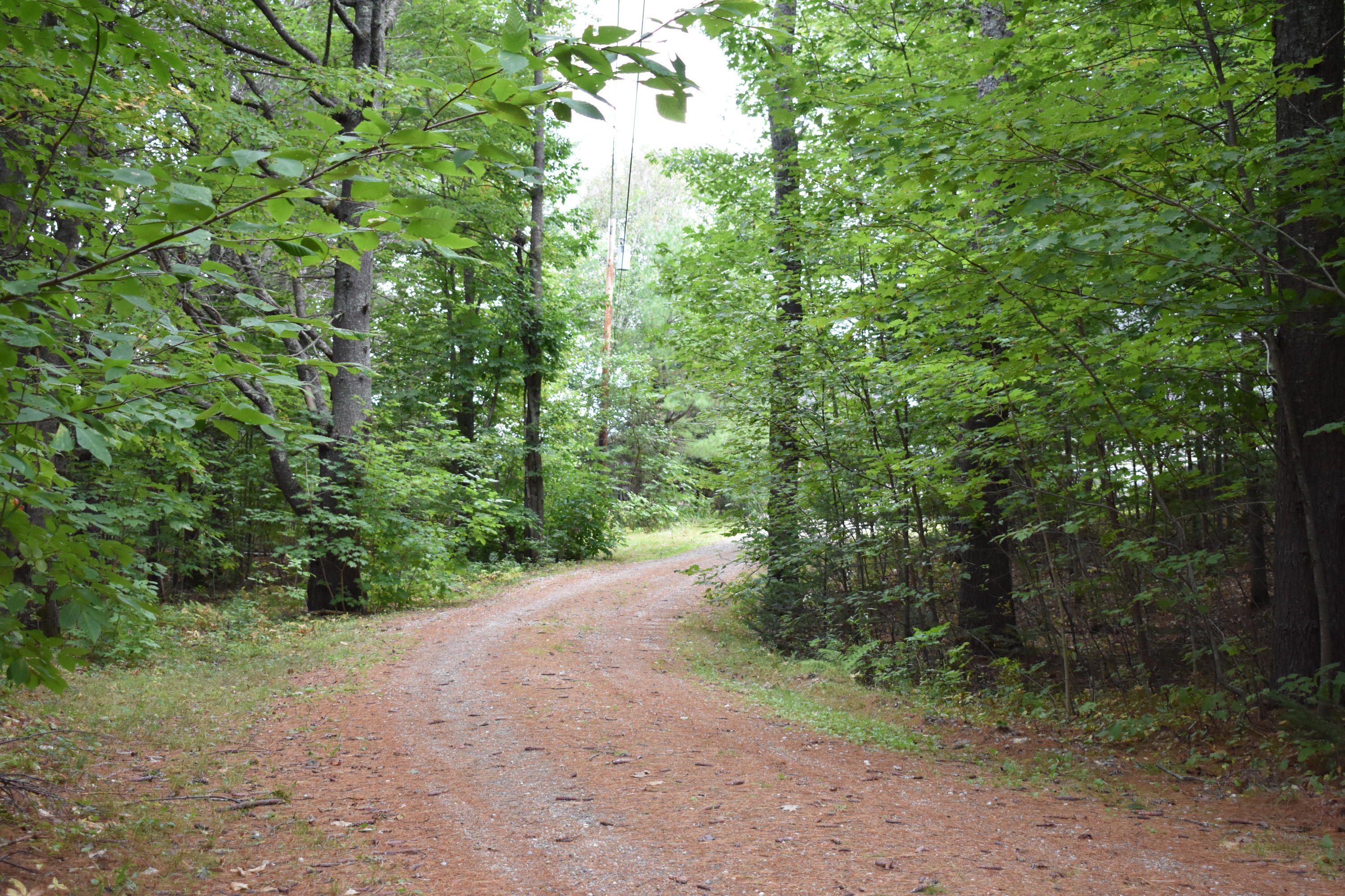 813 Grover Hill Road Bethel, ME 04217 - Photo 13 of 60 DSC_0250_374
