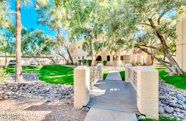 a view of a park with large trees