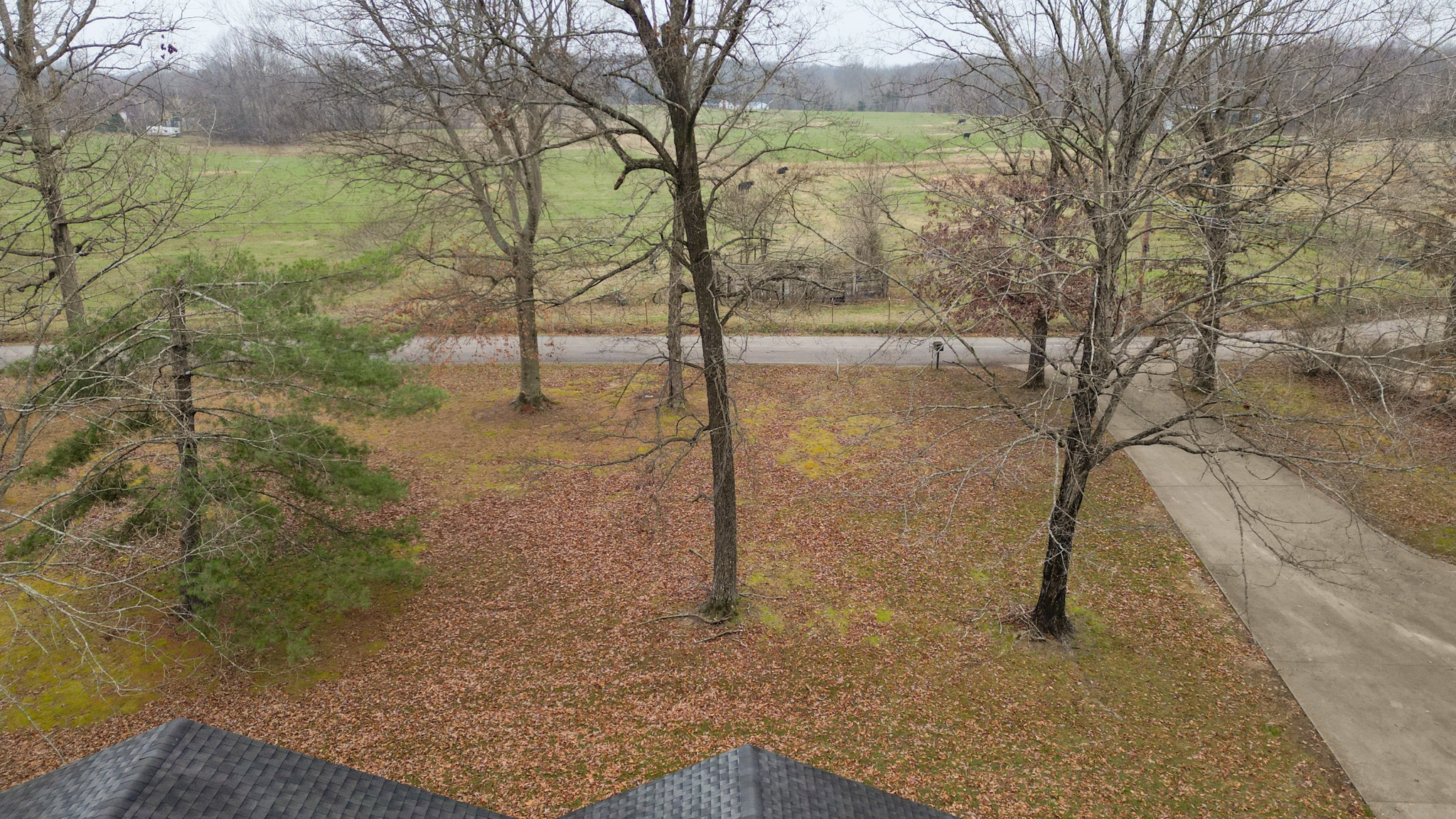 698 Houston Fielder Road Clarksville, TN 37043 - Photo 57 of 61 a backyard of a house with lots of green space