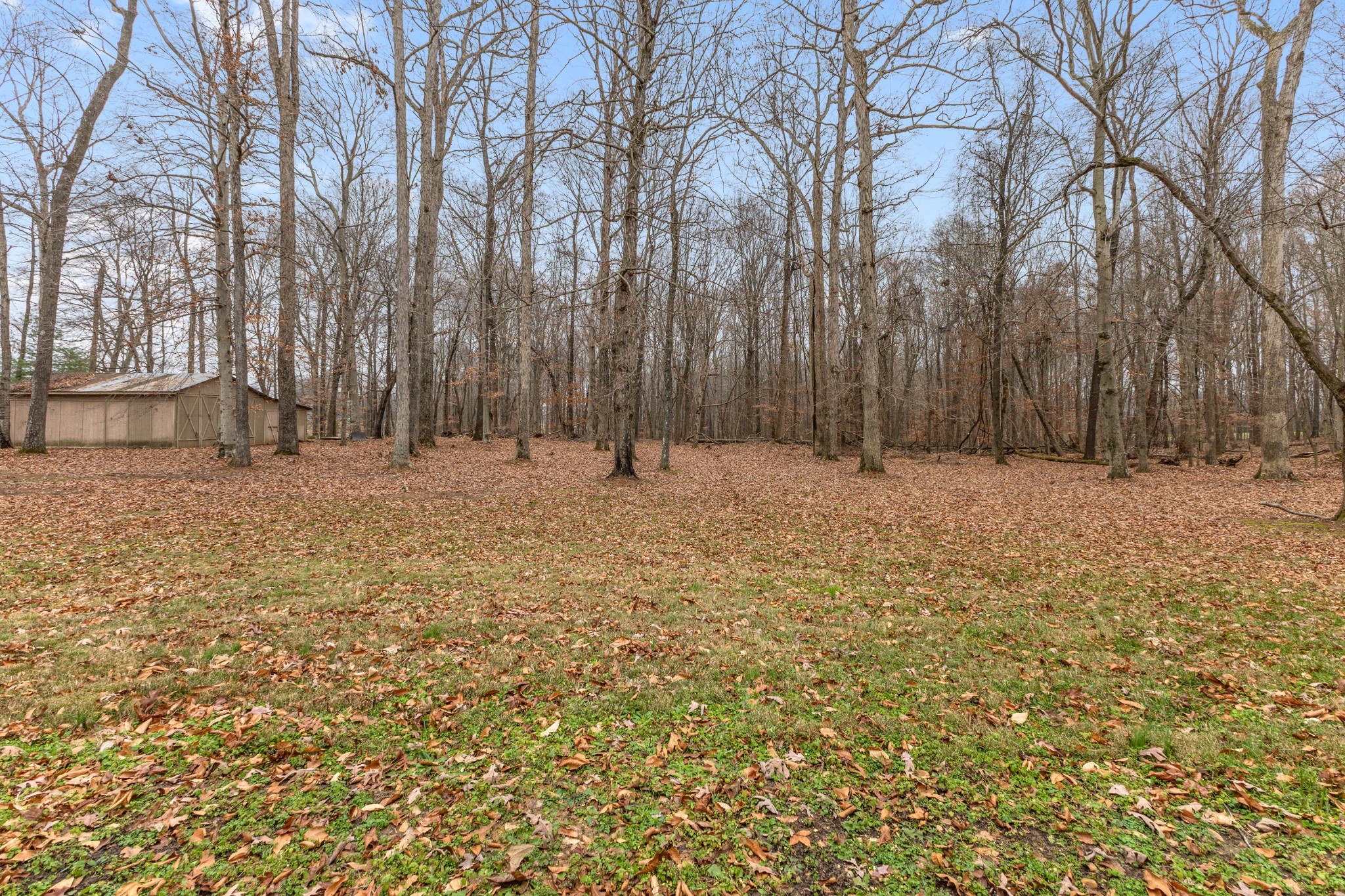 698 Houston Fielder Road Clarksville, TN 37043 - Photo 8 of 61 a row of trees with wooden fence