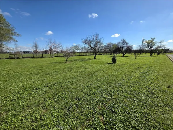 a fire hydrant in the middle of a field