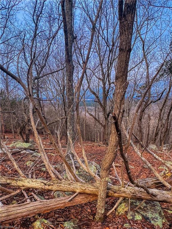 2243 Sierra Trace Road Denton, NC 27239 - Photo 2 of 29