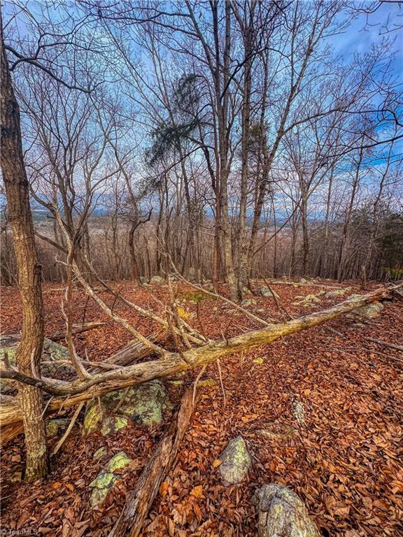 2243 Sierra Trace Road Denton, NC 27239 - Photo 3 of 29