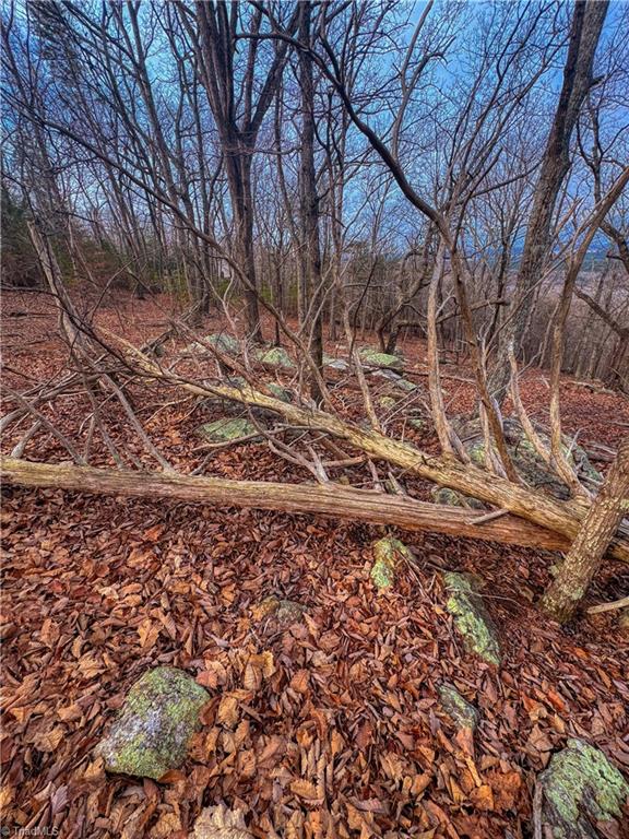2243 Sierra Trace Road Denton, NC 27239 - Photo 5 of 33