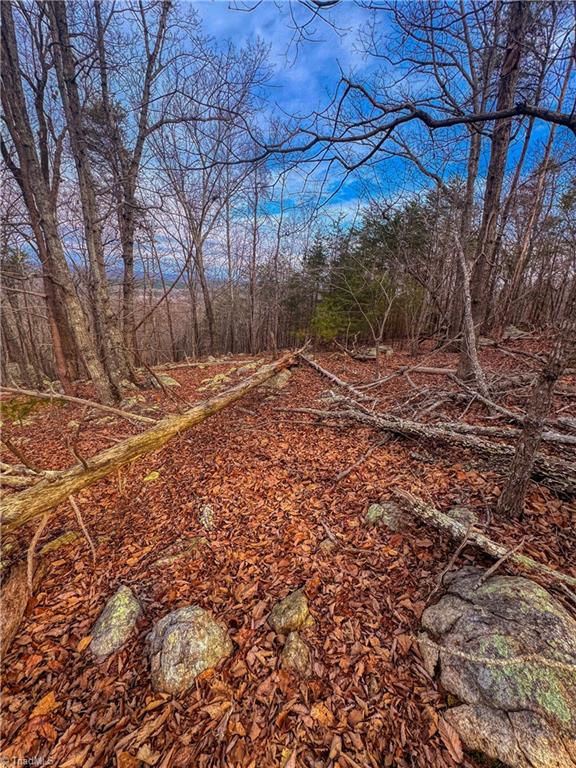 2243 Sierra Trace Road Denton, NC 27239 - Photo 5 of 29