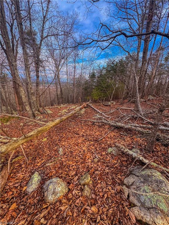 2243 Sierra Trace Road Denton, NC 27239 - Photo 8 of 33