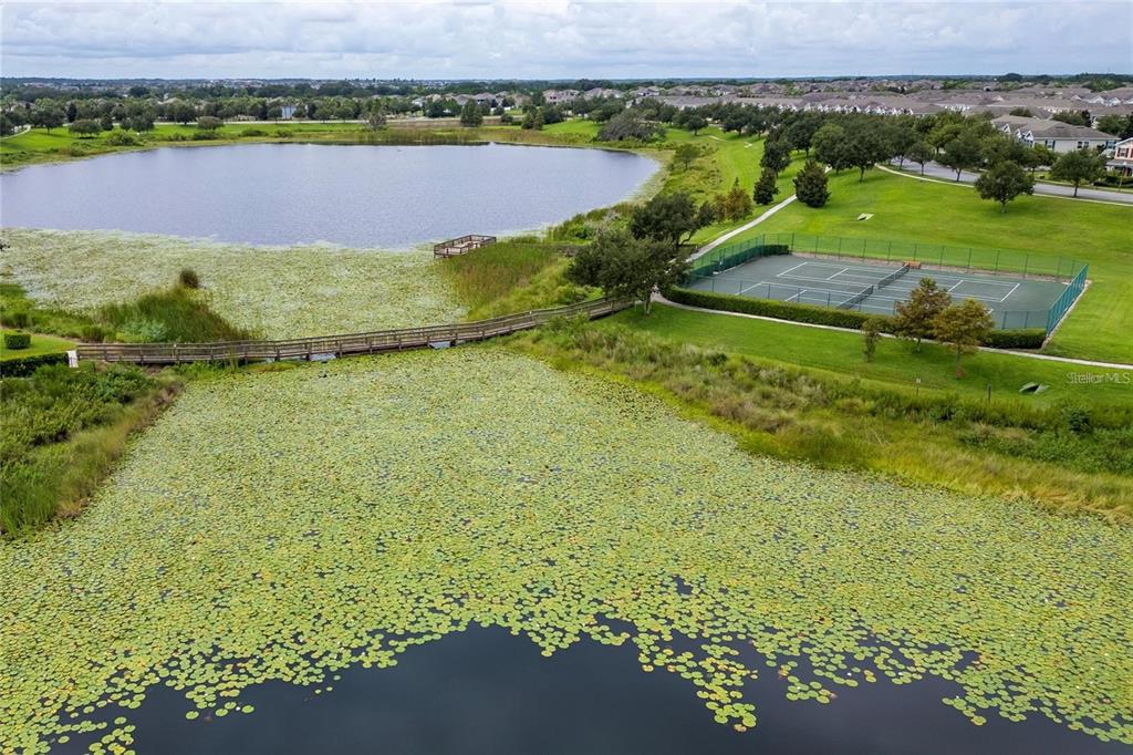 14931 Porter Road Winter Garden, FL 34787 - Photo 21 of 26 Gallery Image 21