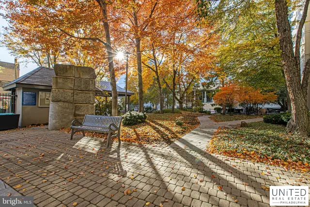 a park view with bench and trees
