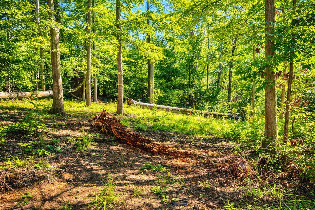 237 Terrapin Pointe Road Hodges, SC 29653 - Photo 7 of 9