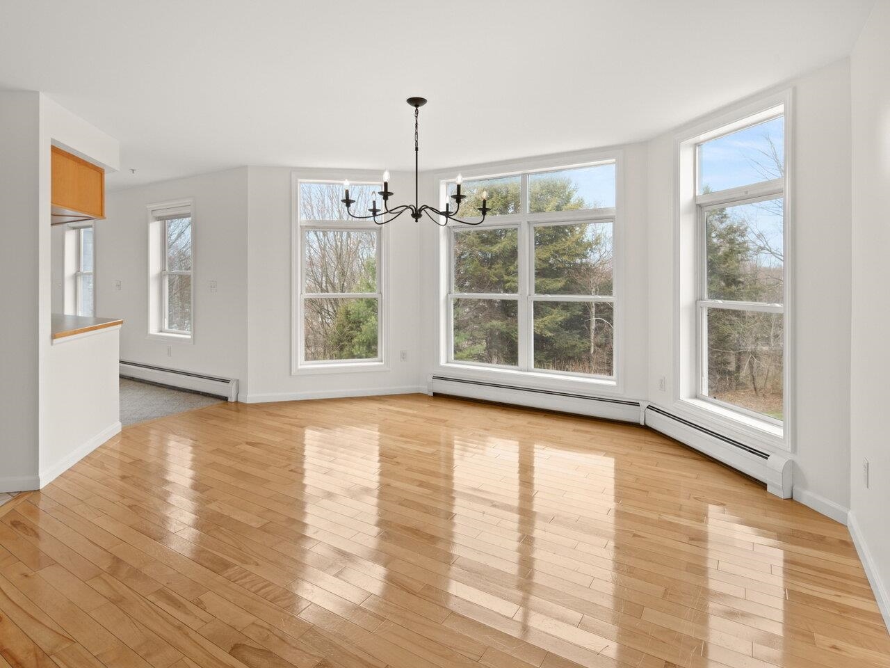 55 Claire Point Road Burlington, VT 05408 - Photo 4 of 34 Gallery Image 4