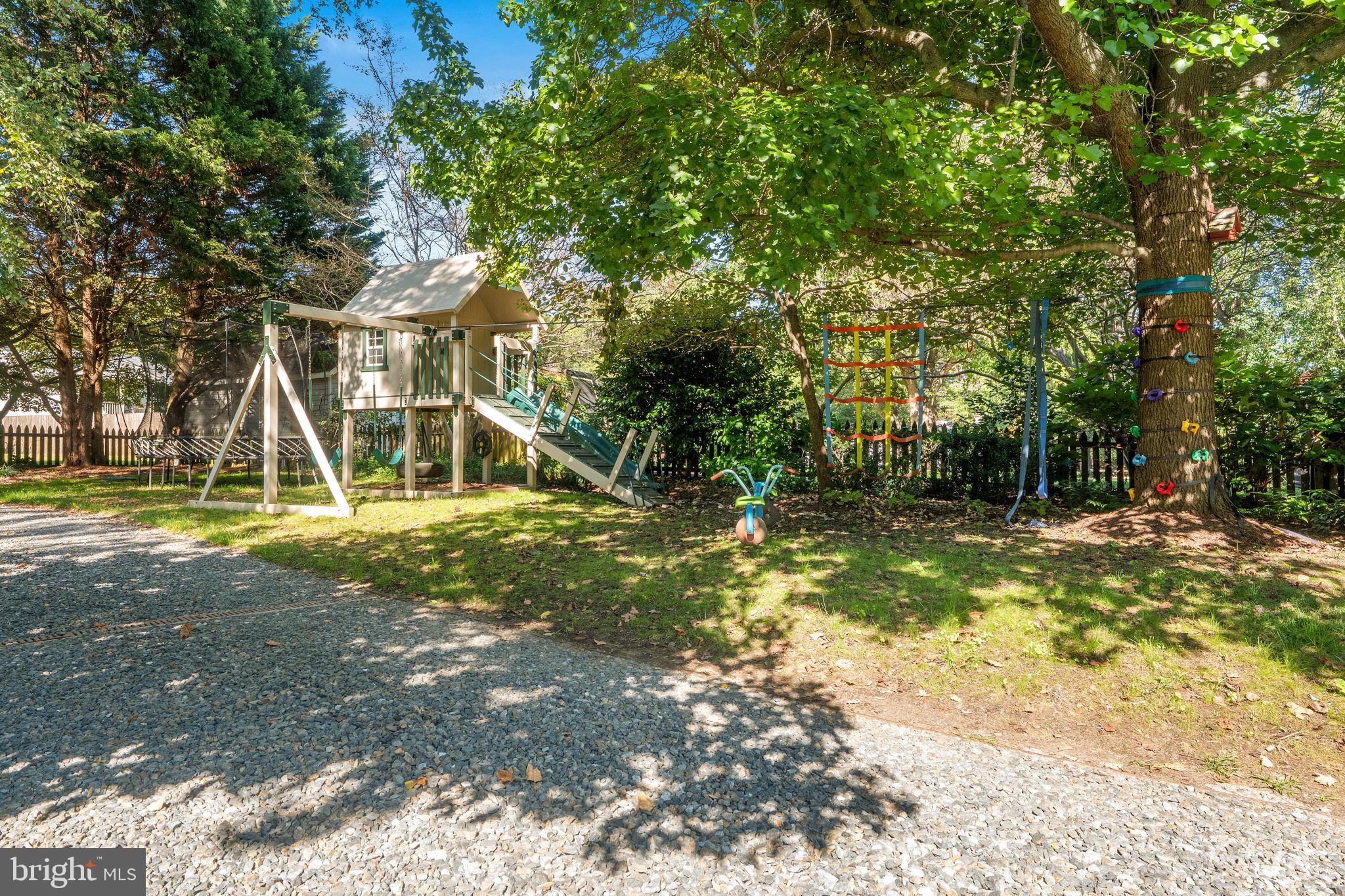 975 Phillips Drive Arnold, MD 21012 - Photo 56 of 93 a view of a tree in a yard
