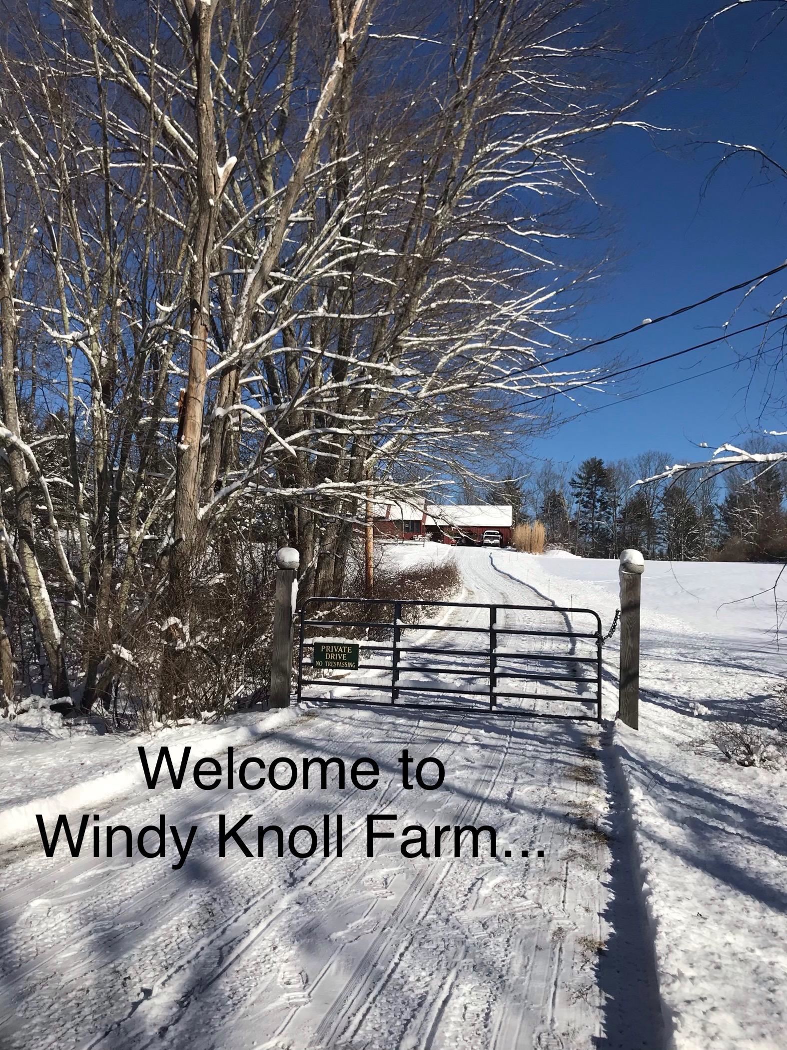 307 Stage Road Nottingham, NH 03290 - Photo 38 of 40