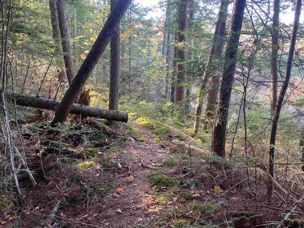 $350,000 | 0 Round Pond Lane, Newbury, VT 05051