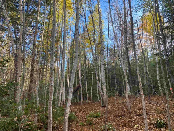 $350,000 | 0 Round Pond Lane, Newbury, VT 05051