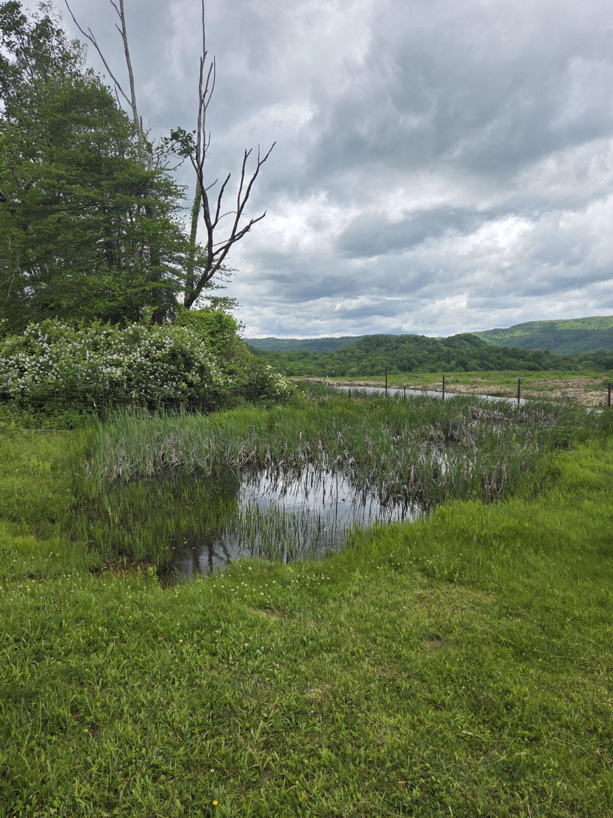 254 Tanyard Road Smoot, WV 24977 - Photo 67 of 84 Gallery Image 67