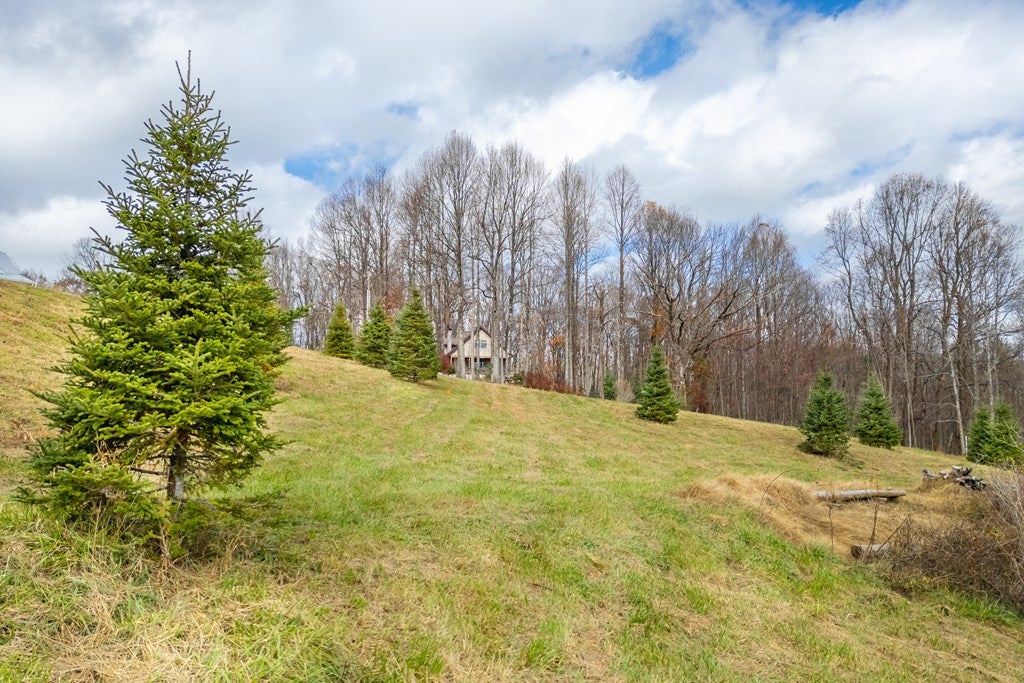 3.8-acre Dogwood Ridge, Unit 2B Fancy Gap, VA 24328 - Photo 24 of 39 Gallery Image 24