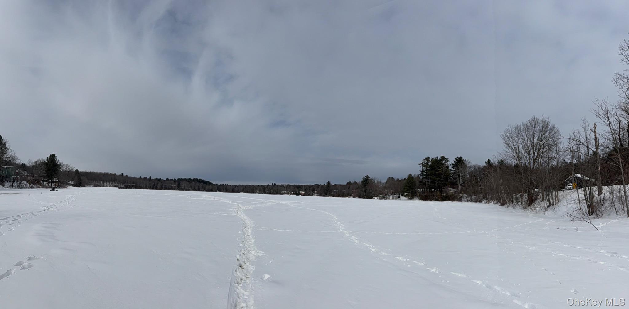 4 Ray Lane Loch Sheldrake, NY 12759 - Photo 23 of 23 a view of a lake and mountain