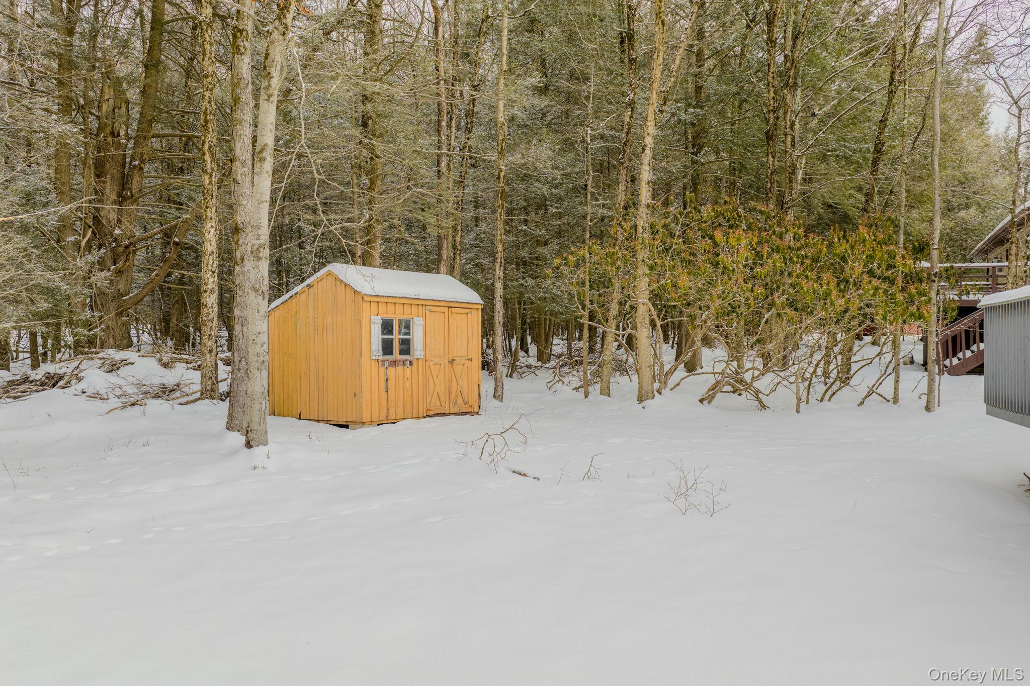 4 Ray Lane Loch Sheldrake, NY 12759 - Photo 25 of 29 Snow covered structure featuring a storage unit