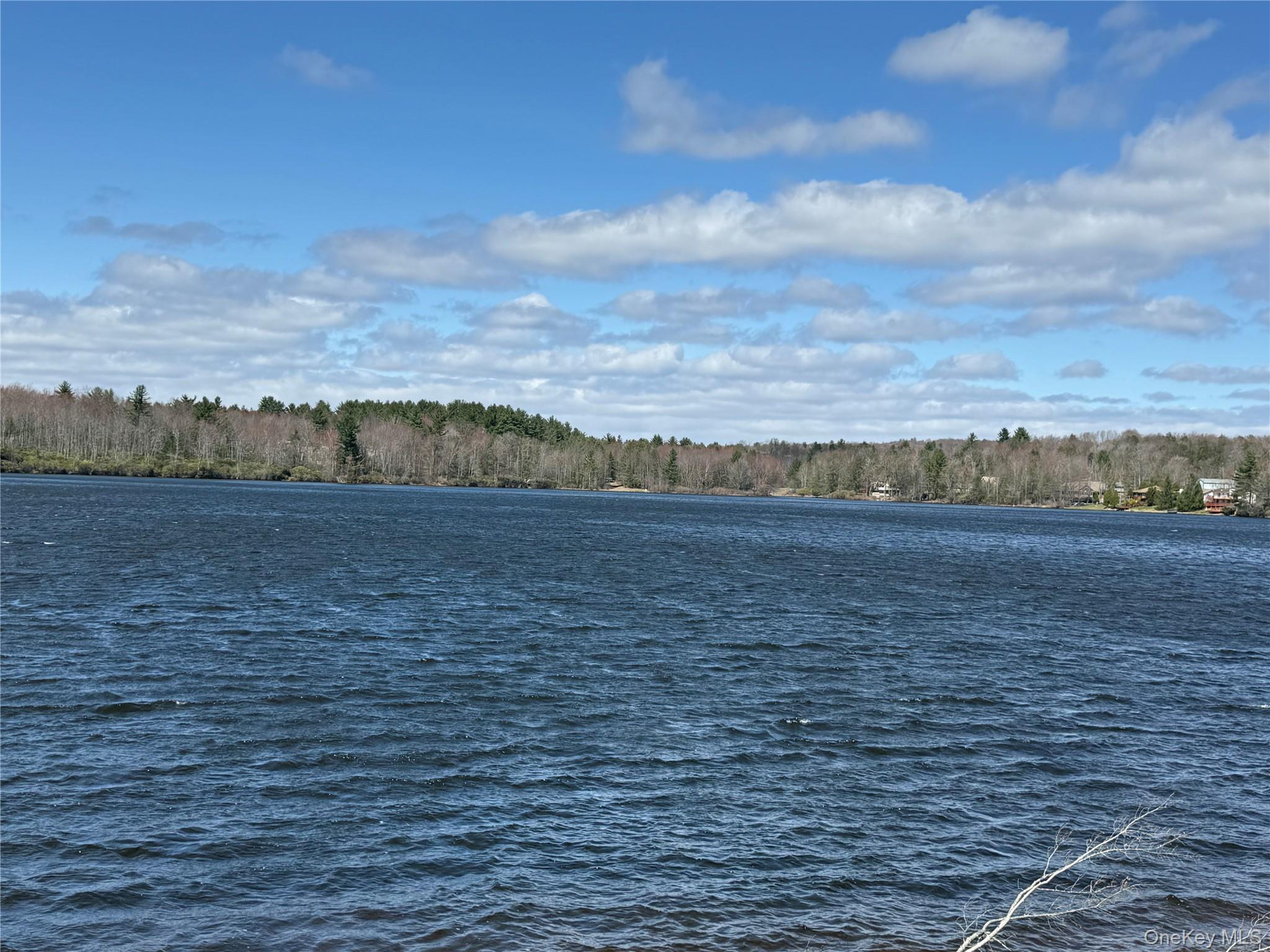 4 Ray Lane Loch Sheldrake, NY 12759 - Photo 26 of 29 a view of lake with mountain in background