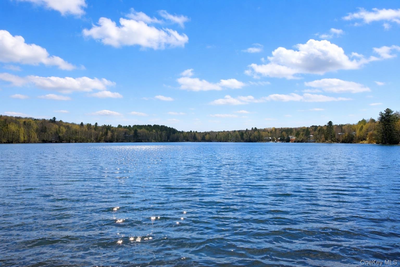 4 Ray Lane Loch Sheldrake, NY 12759 - Photo 27 of 29 a view of lake