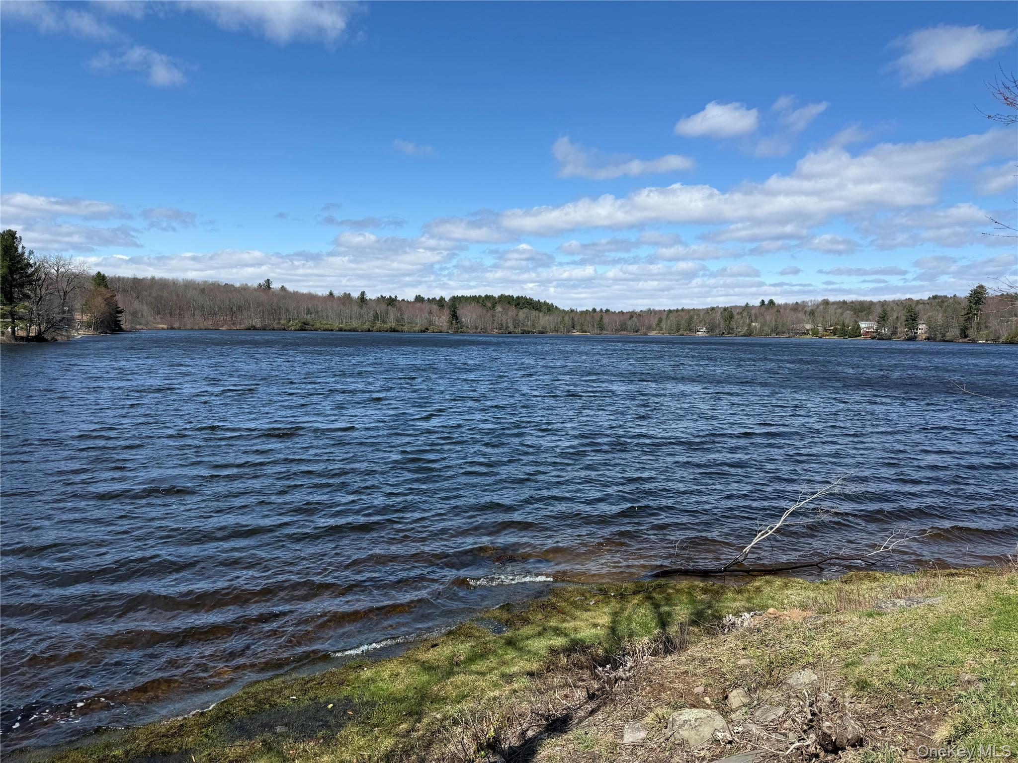 4 Ray Lane Loch Sheldrake, NY 12759 - Photo 28 of 29 a view of a lake view