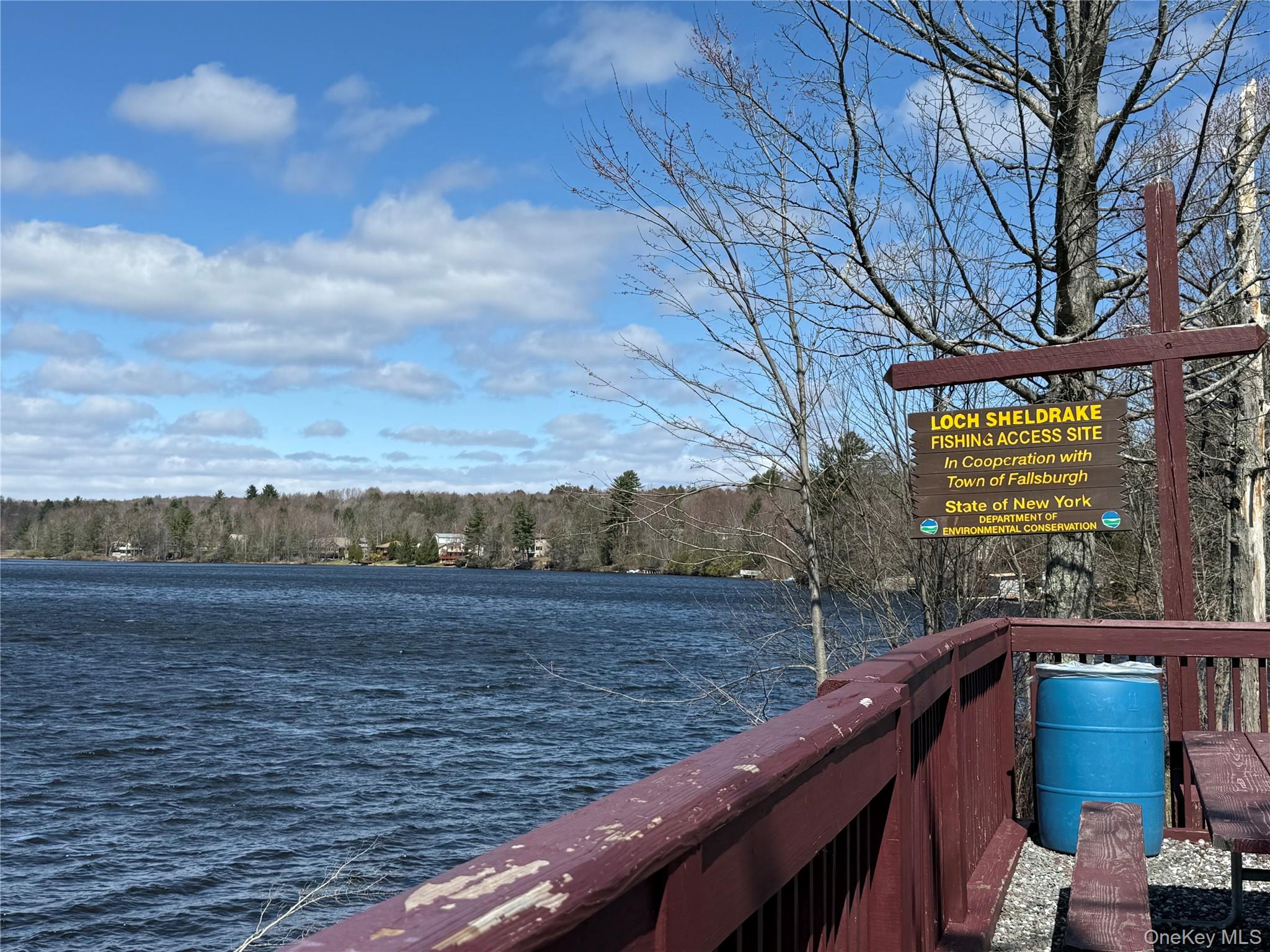 4 Ray Lane Loch Sheldrake, NY 12759 - Photo 3 of 29 a view of outdoor space and city view