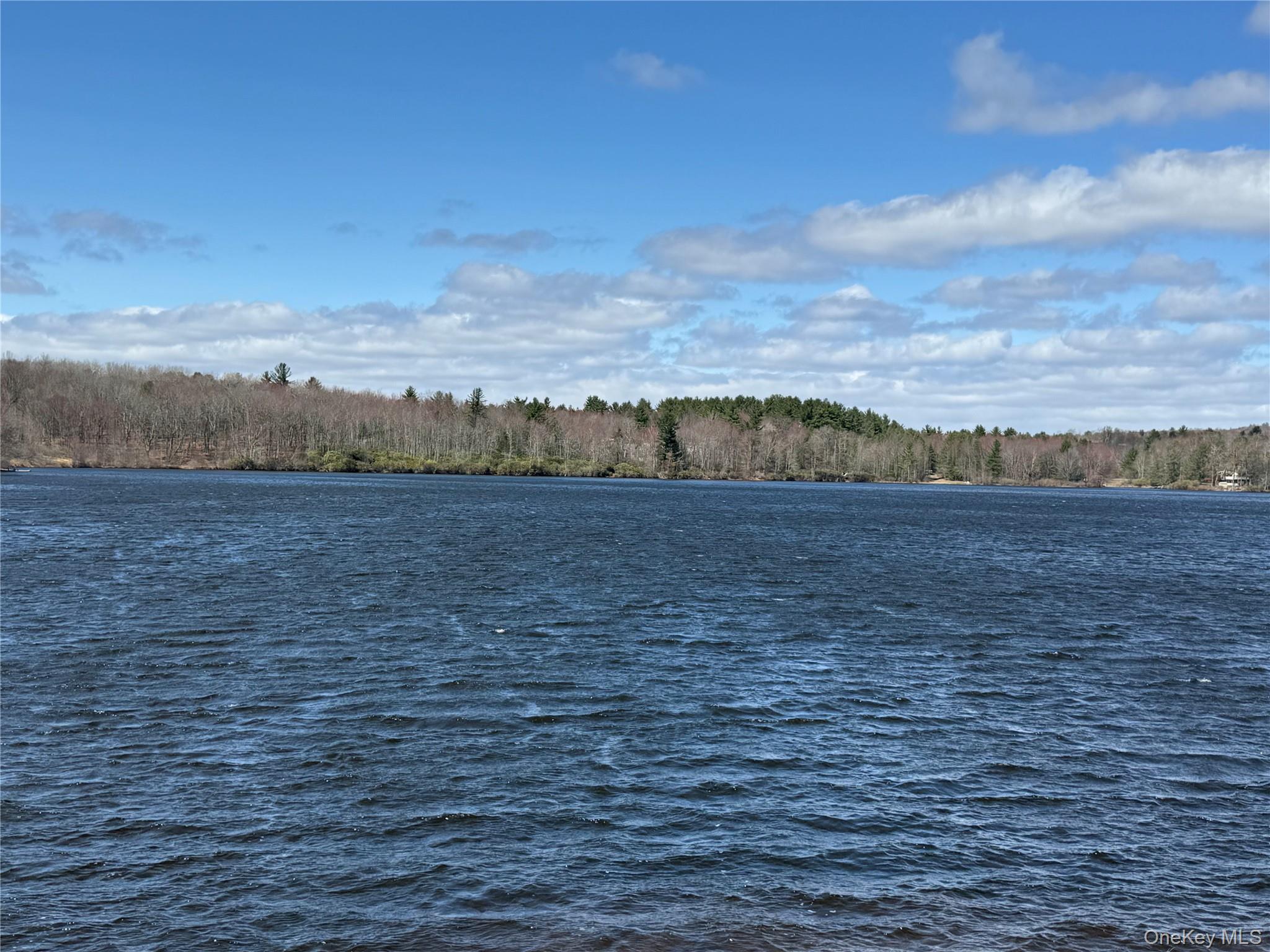 4 Ray Lane Loch Sheldrake, NY 12759 - Photo 4 of 29 a view of lake with mountain