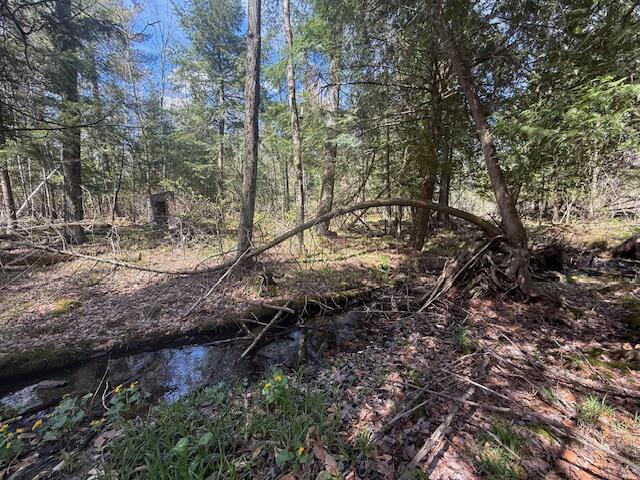 735 North Lakola Road Leroy, MI 49655 - Photo 11 of 15 IMG_5952