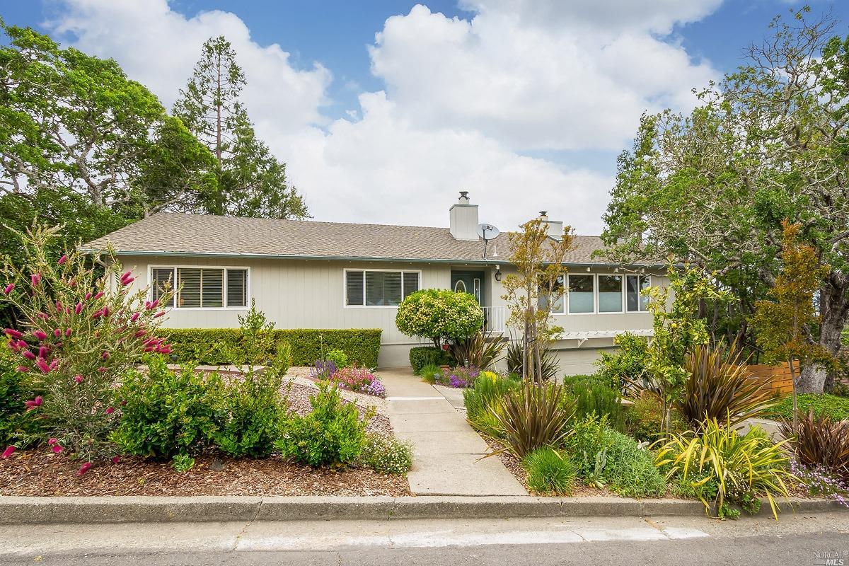 22 Truman Drive Novato, CA 94947 - Photo 1 of 1 a front view of a house with a yard and potted plants