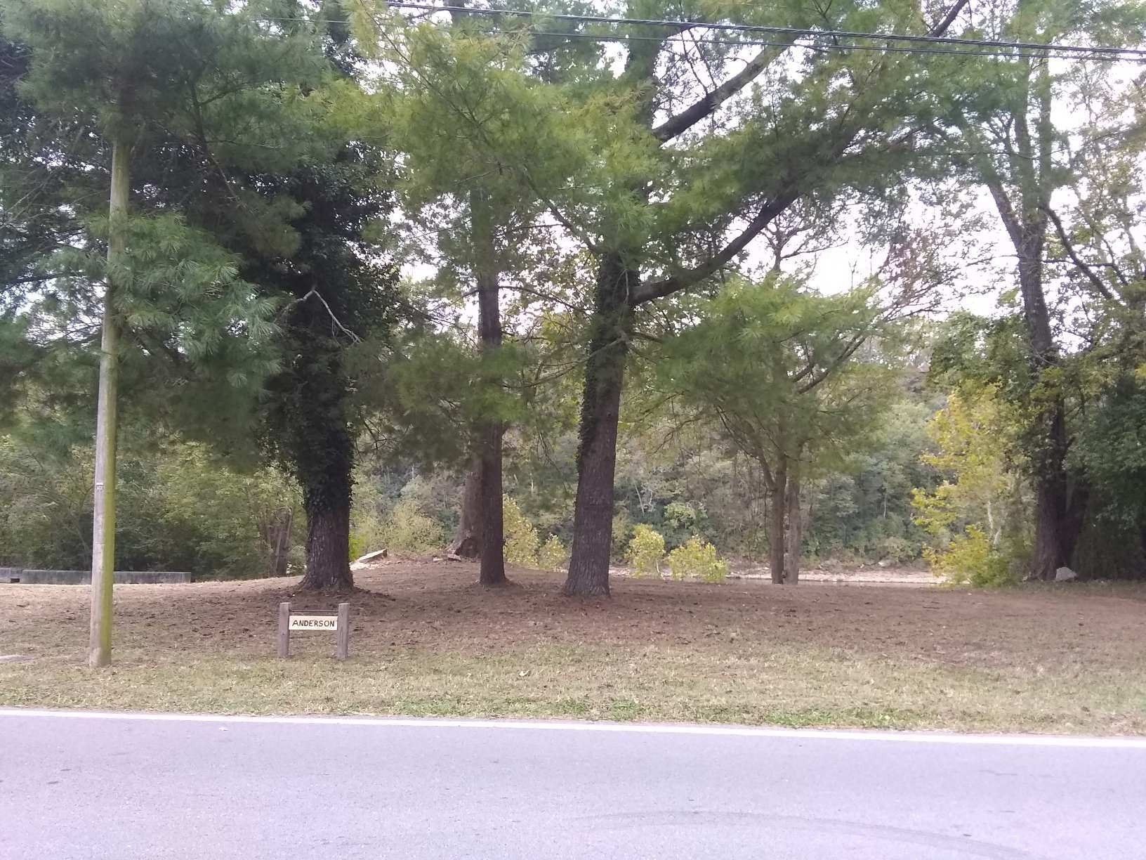 a backyard of a house with trees and outdoor space