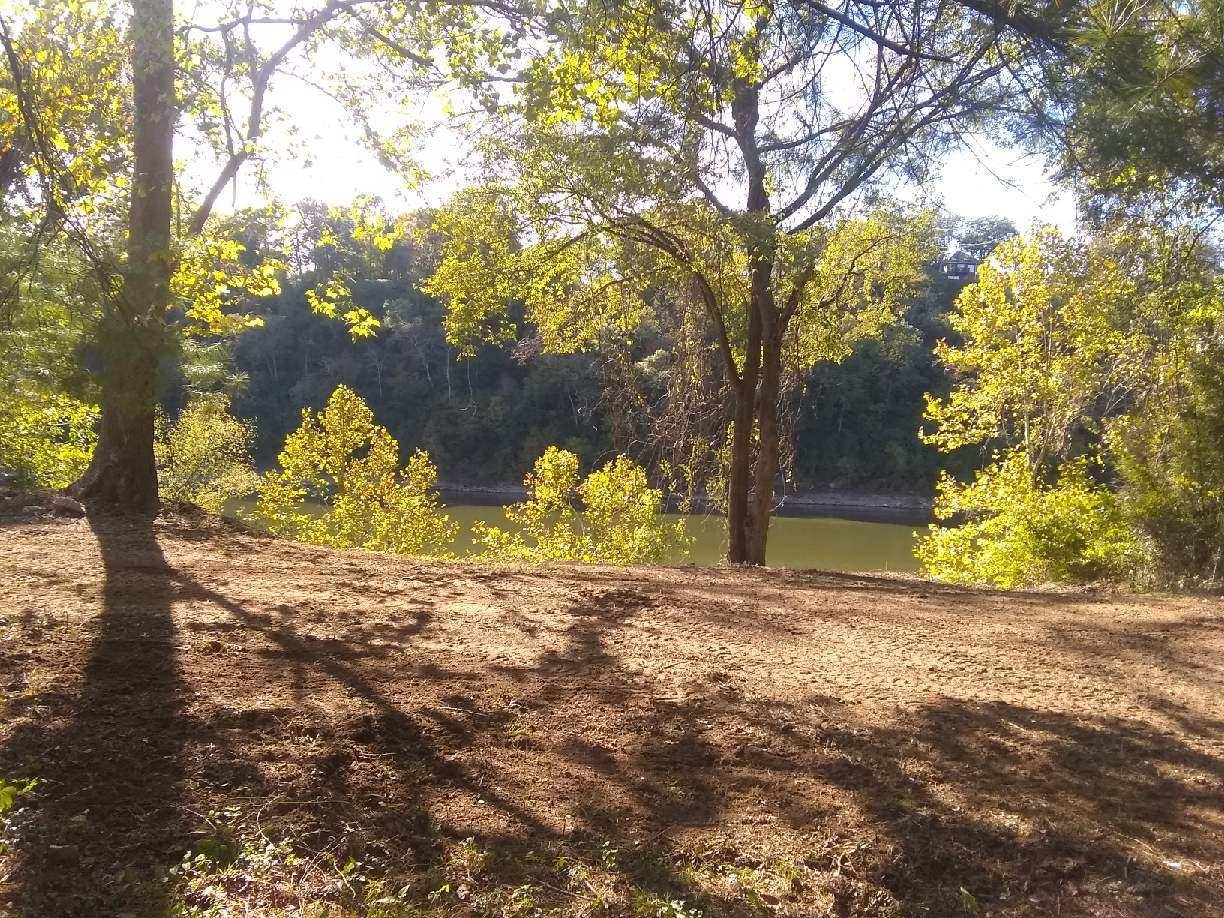0 Pennington Bend Road Nashville, TN 37214 - Photo 2 of 5 a view of a yard with large tree