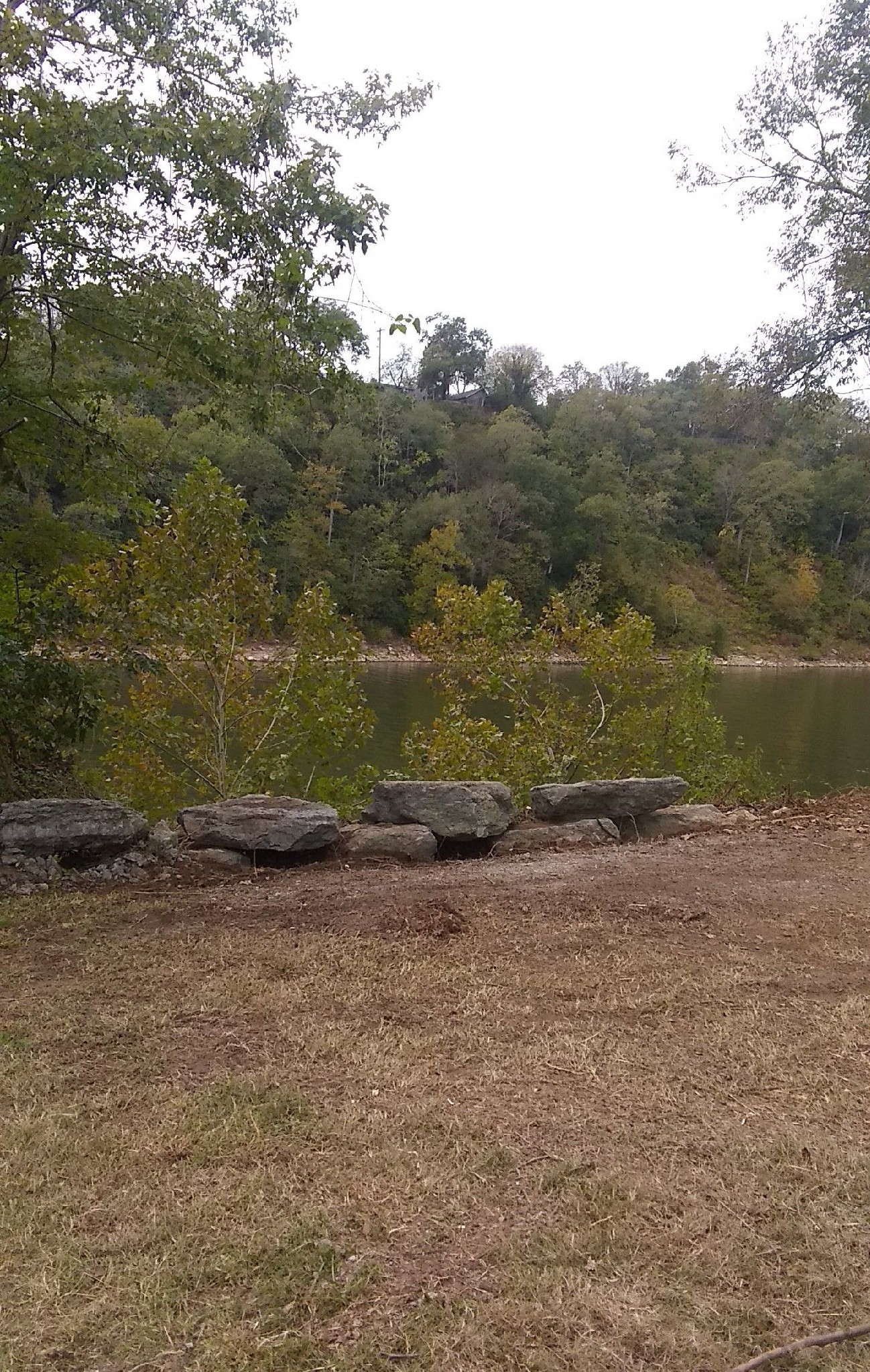 0 Pennington Bend Road Nashville, TN 37214 - Photo 3 of 5 a view of a dry yard with trees