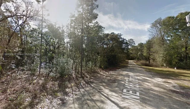 a view of a yard with plants and trees