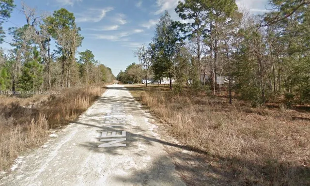 a view of yard with trees
