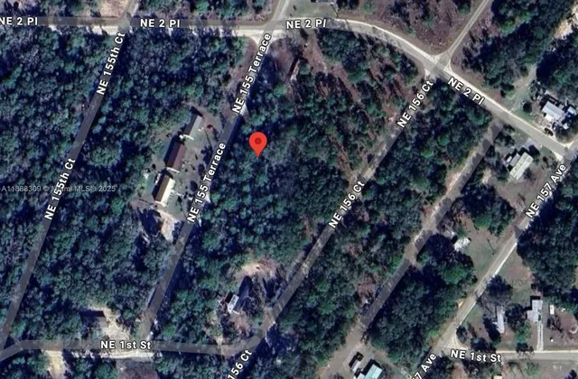 a close up of a plant