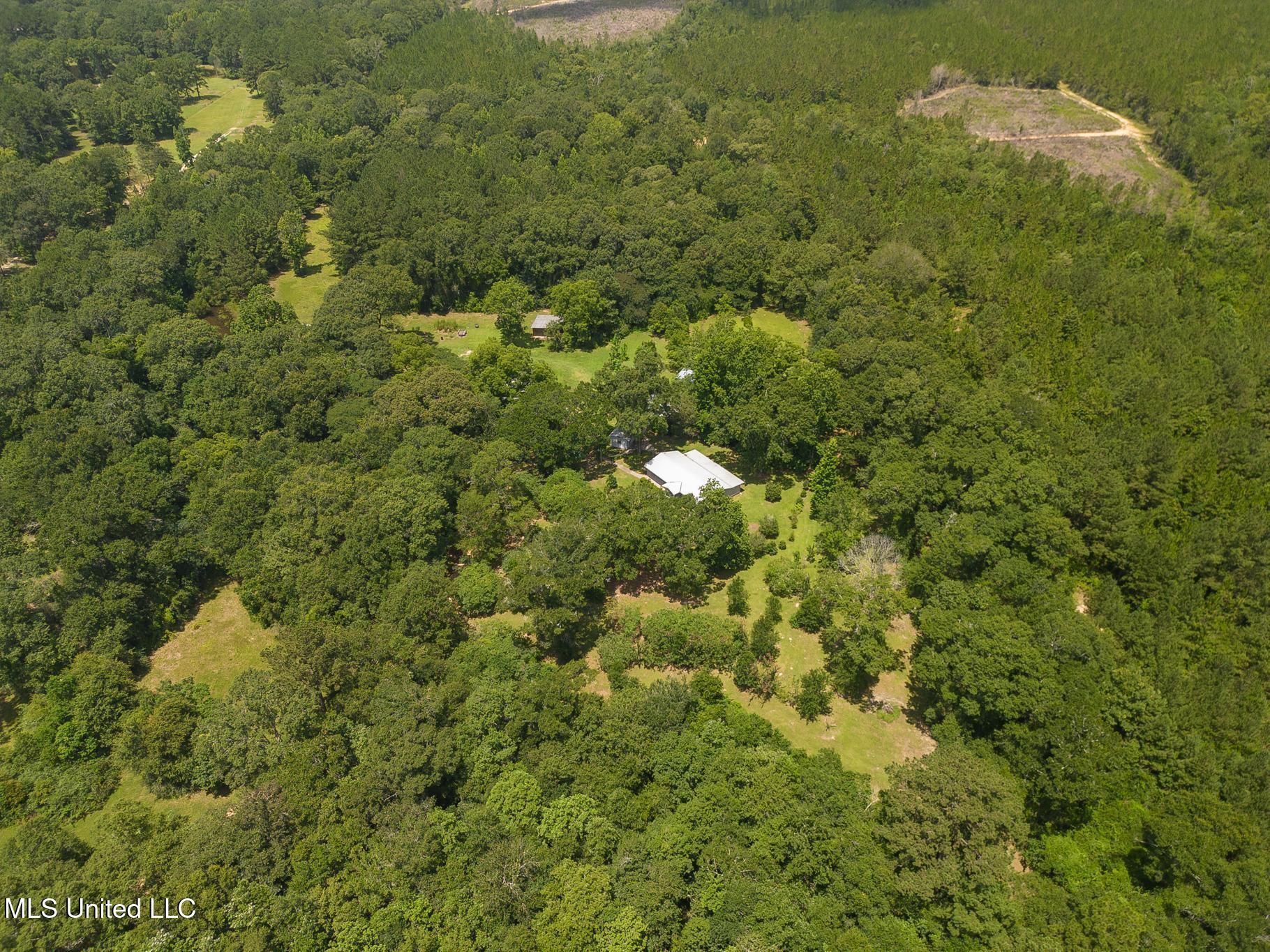 24 Sadie Lee Road Perkinston, MS 39573 - Photo 32 of 35 3-8