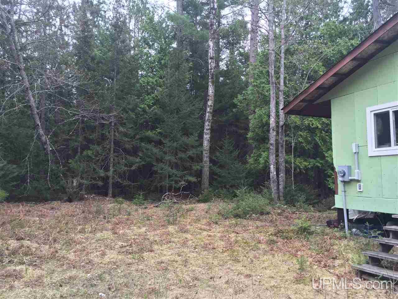 Tbd River Road, Unit SEC 8 T45N R29W 18 20A TH Ishpeming, MI 49849 - Photo 3 of 4