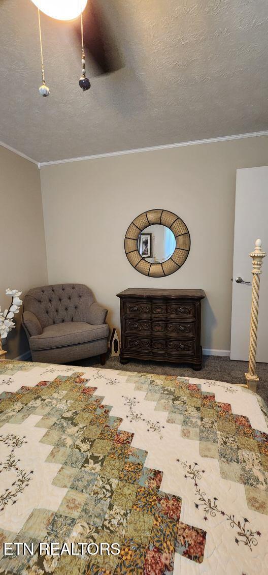 1922 Chaney Ridge Road London, KY 40741 - Photo 23 of 38 image000008(5)