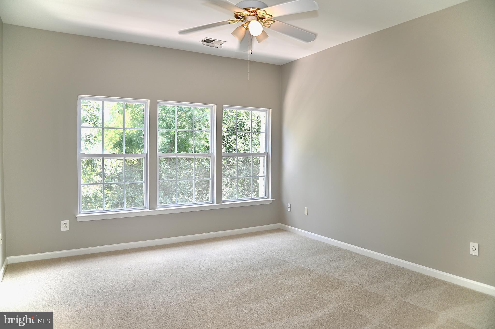 10167 Pale Rose Loop Bristow, VA 20136 - Photo 11 of 20 Primary Bedroom