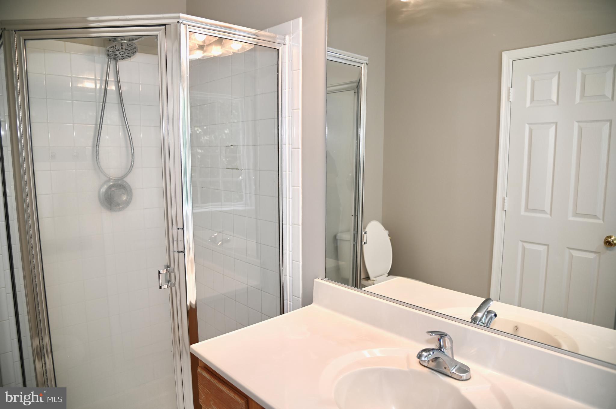 10167 Pale Rose Loop Bristow, VA 20136 - Photo 12 of 20 Primary Bath