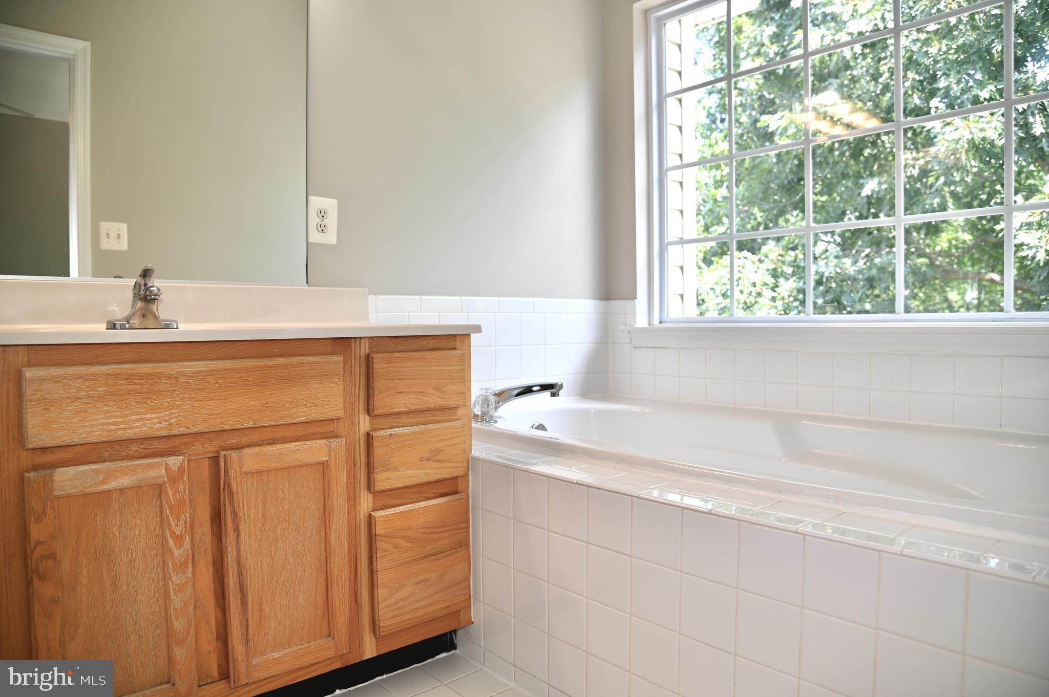 10167 Pale Rose Loop Bristow, VA 20136 - Photo 13 of 20 Primary Full Bath